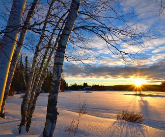 razones estudiar canada